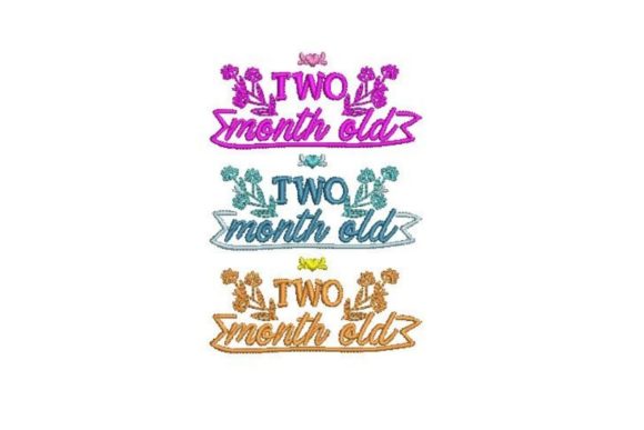 Baby Milestone 2 Months Embroidery Review
